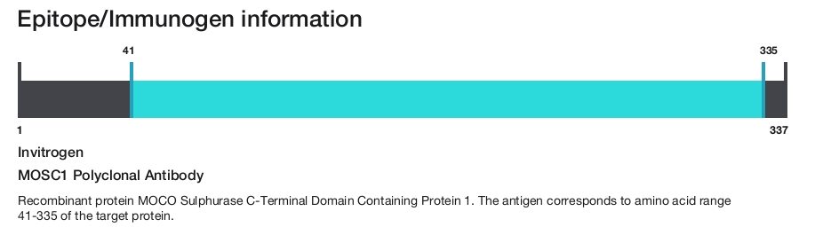 MOSC1 Polyclonal Antibody