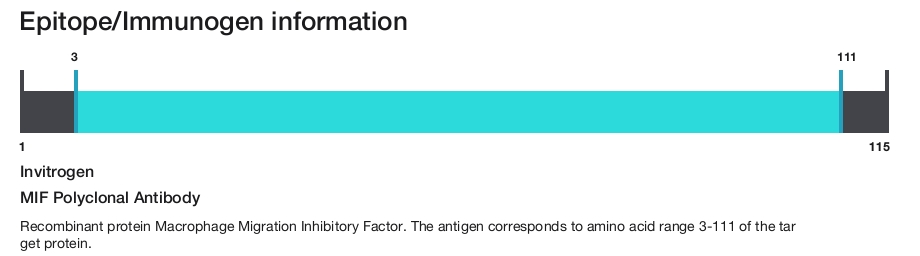 MIF Polyclonal Antibody
