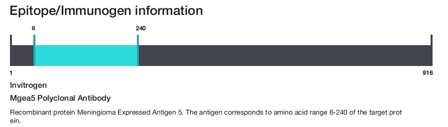 Mgea5 Polyclonal Antibody