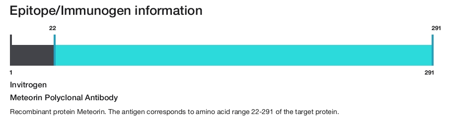 Meteorin Polyclonal Antibody