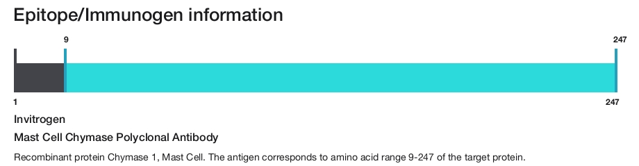 Mast Cell Chymase Polyclonal Antibody