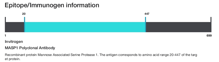 MASP1 Polyclonal Antibody