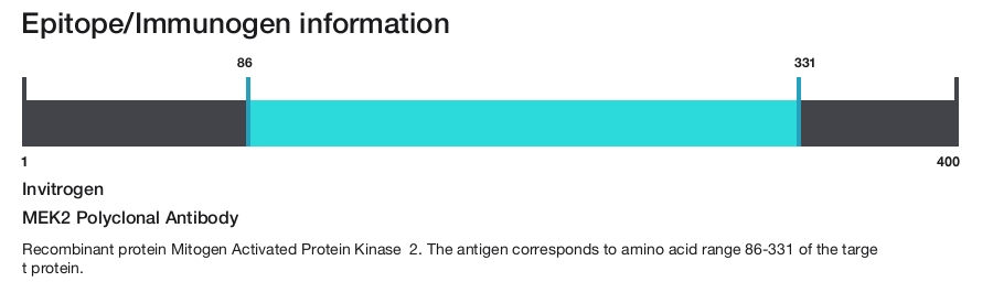MEK2 Polyclonal Antibody