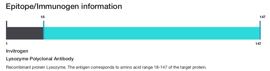 Lysozyme Polyclonal Antibody