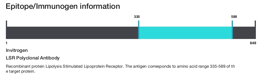 LSR Polyclonal Antibody