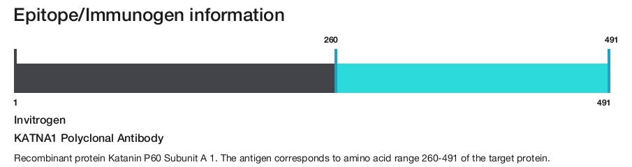KATNA1 Polyclonal Antibody