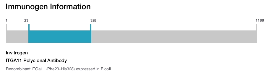 ITGA11 Polyclonal Antibody