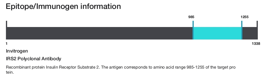 IRS2 Polyclonal Antibody