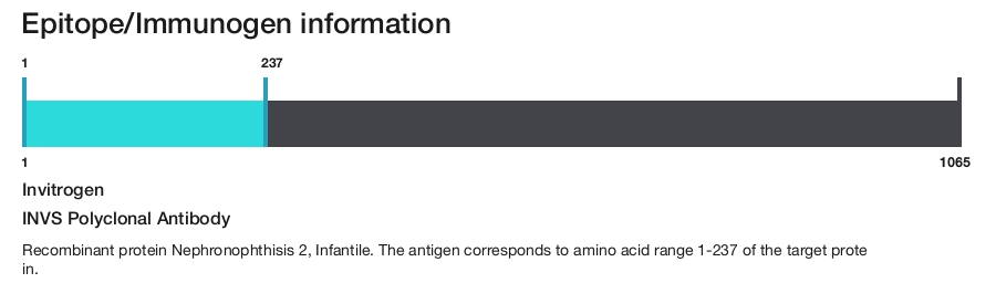 INVS Polyclonal Antibody