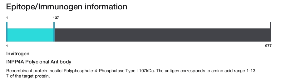 INPP4A Polyclonal Antibody