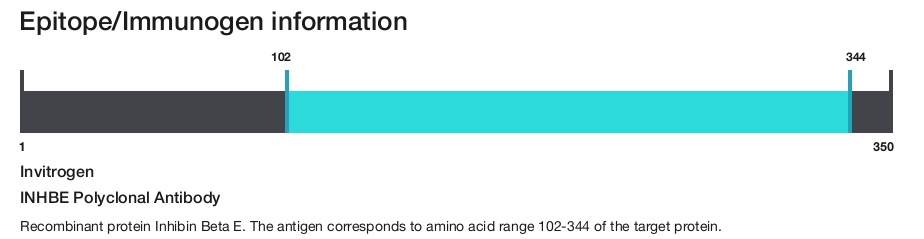 INHBE Polyclonal Antibody