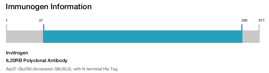 IL20RB Polyclonal Antibody