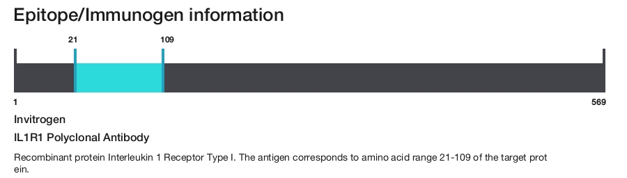 IL1R1 Polyclonal Antibody