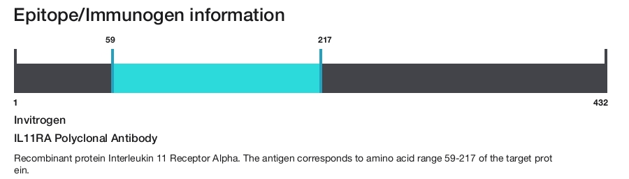 IL11RA Polyclonal Antibody