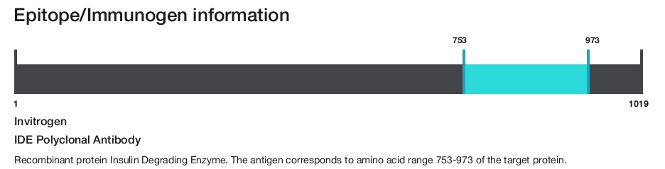IDE Polyclonal Antibody