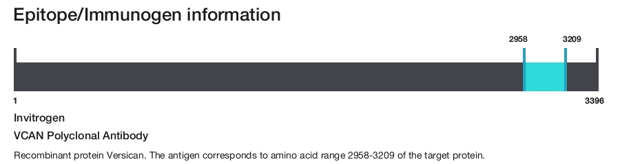 VCAN Polyclonal Antibody