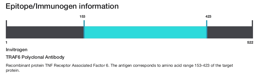 TRAF6 Polyclonal Antibody