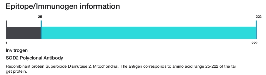 SOD2 Polyclonal Antibody