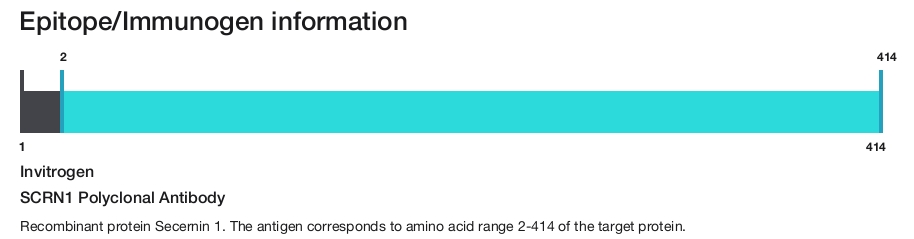 SCRN1 Polyclonal Antibody