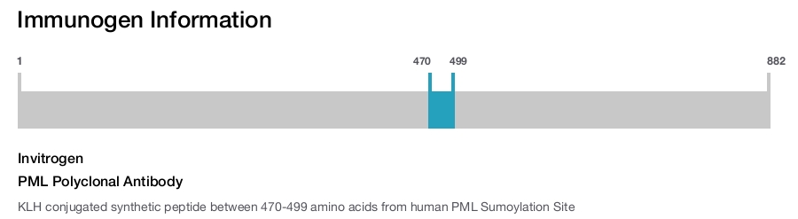 PML Polyclonal Antibody