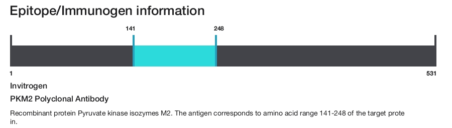 PKM2 Polyclonal Antibody