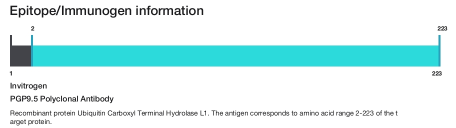 PGP9.5 Polyclonal Antibody