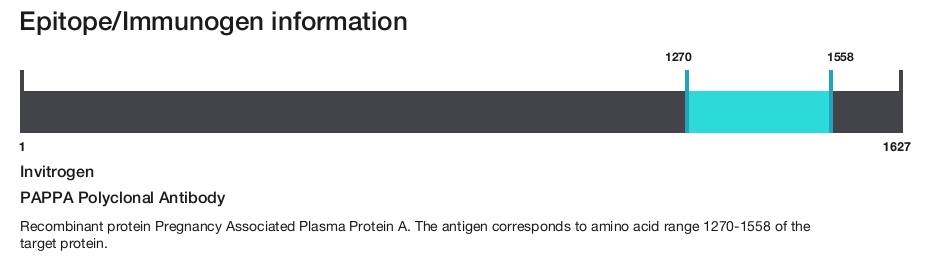 PAPPA Polyclonal Antibody