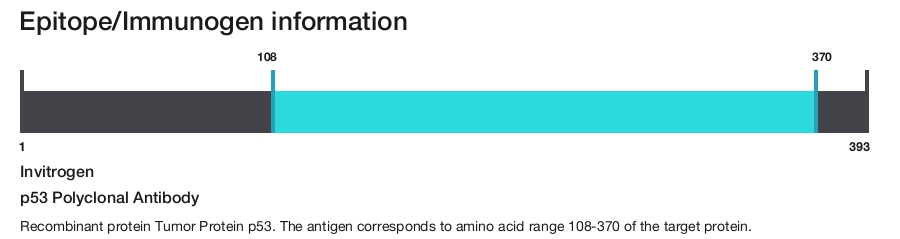 p53 Polyclonal Antibody