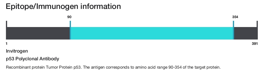p53 Polyclonal Antibody
