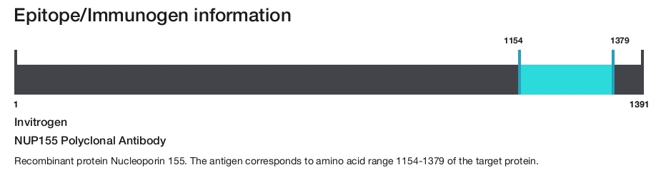 NUP155 Polyclonal Antibody