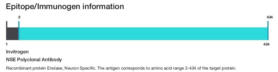 NSE Polyclonal Antibody