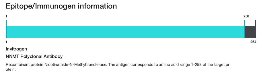 NNMT Polyclonal Antibody