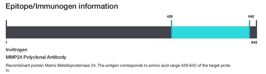MMP24 Polyclonal Antibody