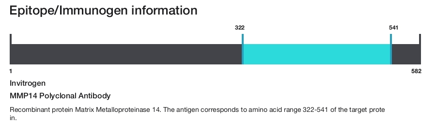 MMP14 Polyclonal Antibody