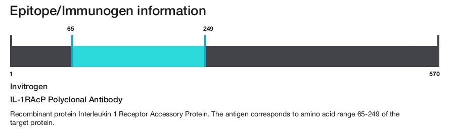 IL-1RAcP Polyclonal Antibody