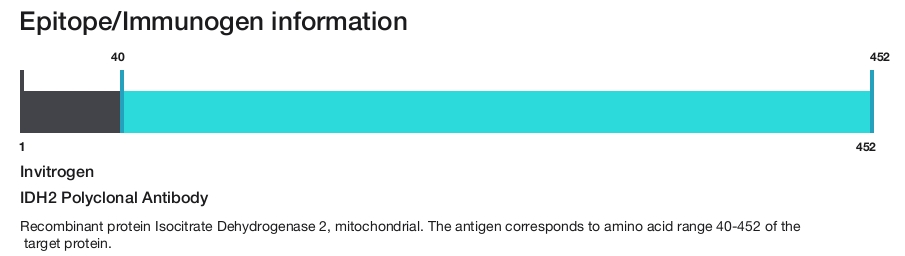 IDH2 Polyclonal Antibody