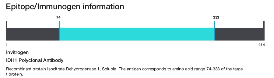 IDH1 Polyclonal Antibody