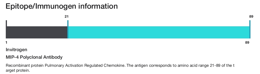 MIP-4 Polyclonal Antibody
