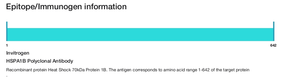 HSPA1B Polyclonal Antibody