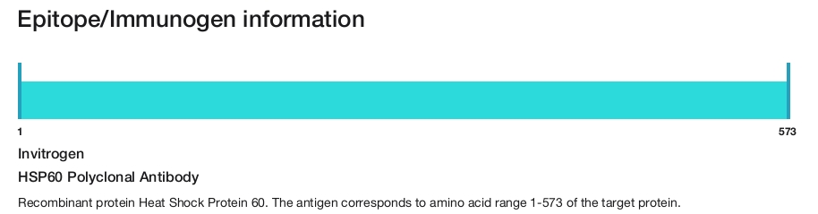 HSP60 Polyclonal Antibody