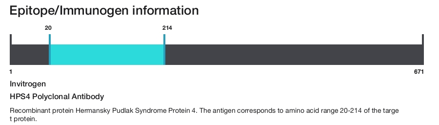 HPS4 Polyclonal Antibody