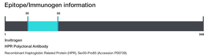 HPR Polyclonal Antibody