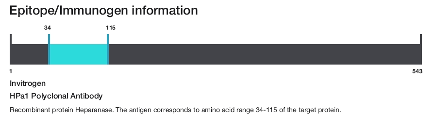 HPa1 Polyclonal Antibody
