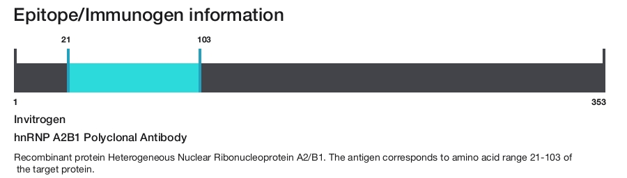 hnRNP A2B1 Polyclonal Antibody