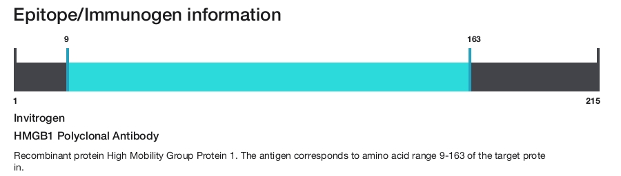HMGB1 Polyclonal Antibody