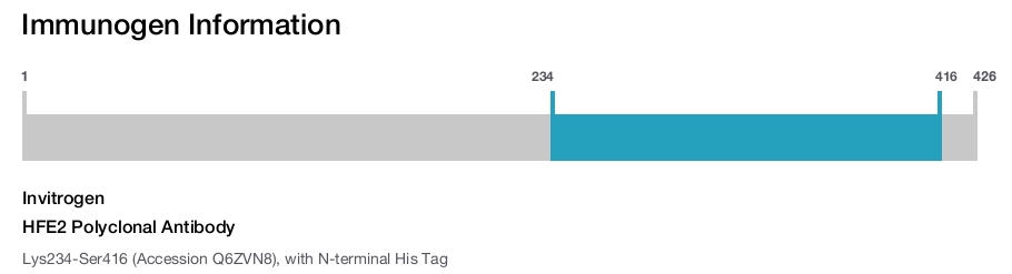 HFE2 Polyclonal Antibody