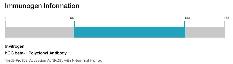 hCG beta-1 Polyclonal Antibody