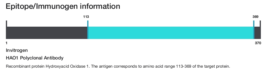 HAO1 Polyclonal Antibody