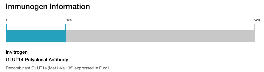 GLUT14 Polyclonal Antibody