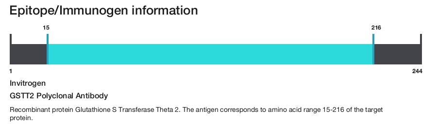 GSTT2 Polyclonal Antibody